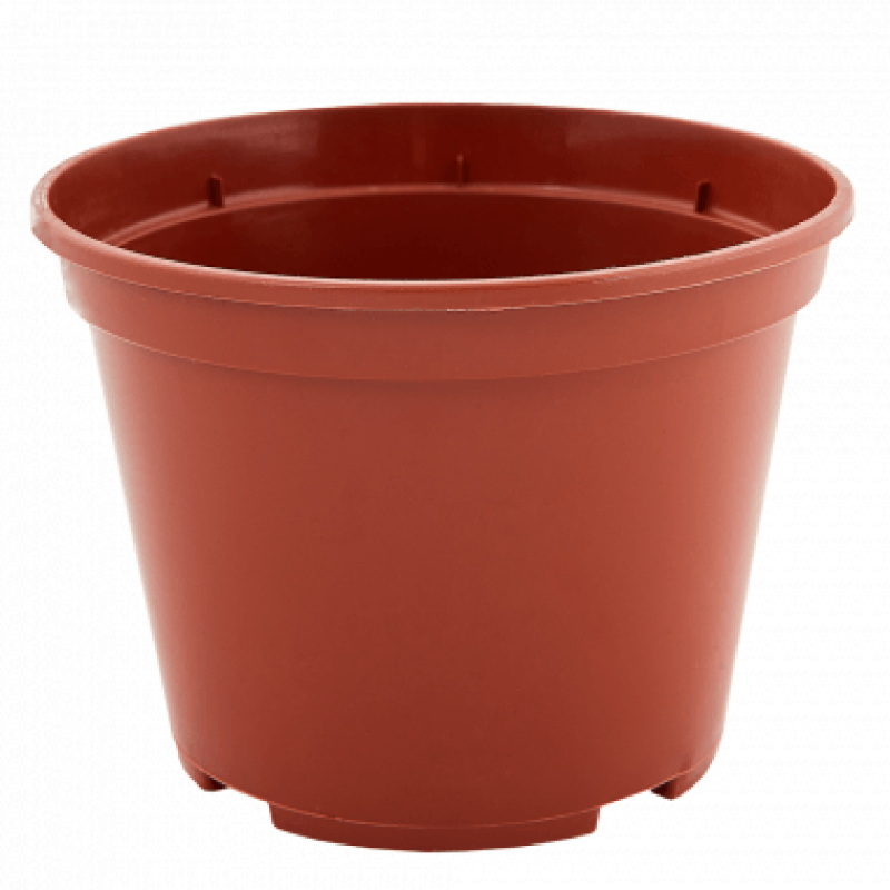 Vazonėlis daigams Ø 19 cm, 3.0 L