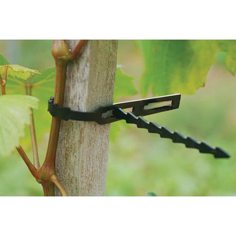 Dirželis augalų parišimui, 22 cm, 80 vnt.