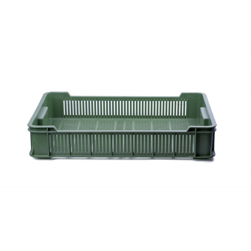 Dėžė uogoms, daržovėms, 60x40x9,5 cm
